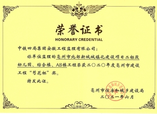 2020年芍花杯